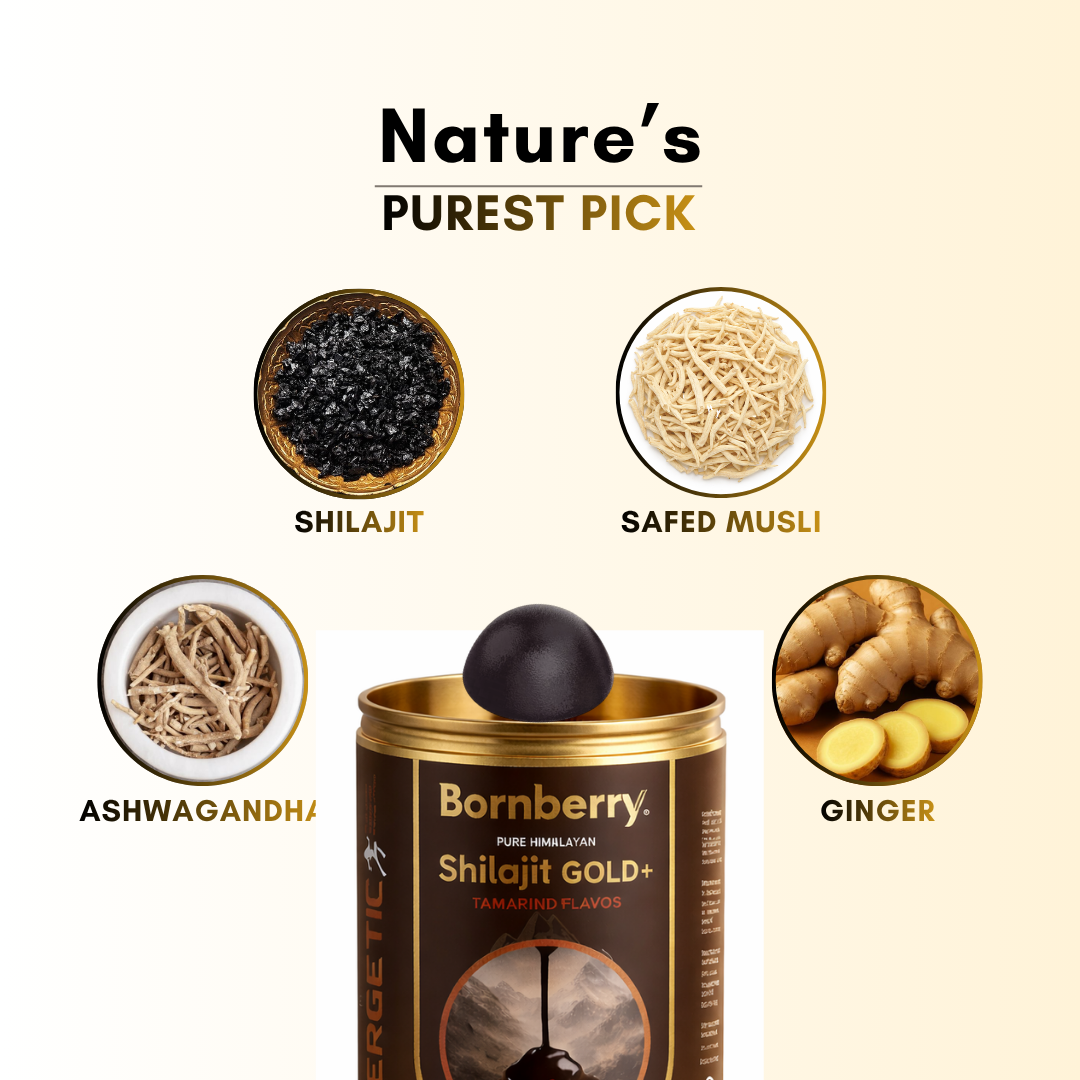 Bornberry Multivitamins For men
