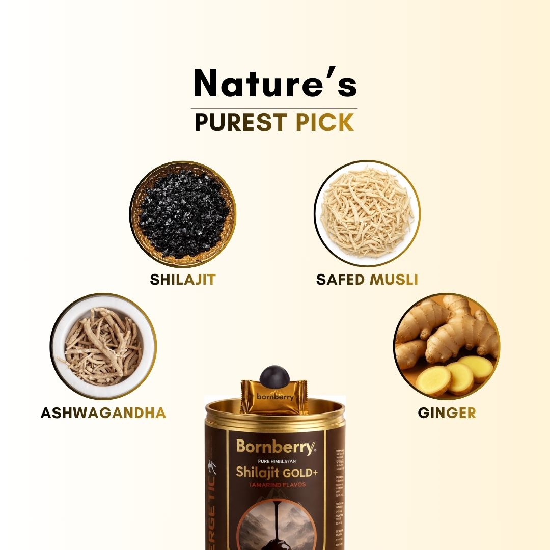 Gold+ Shilajit Gummies